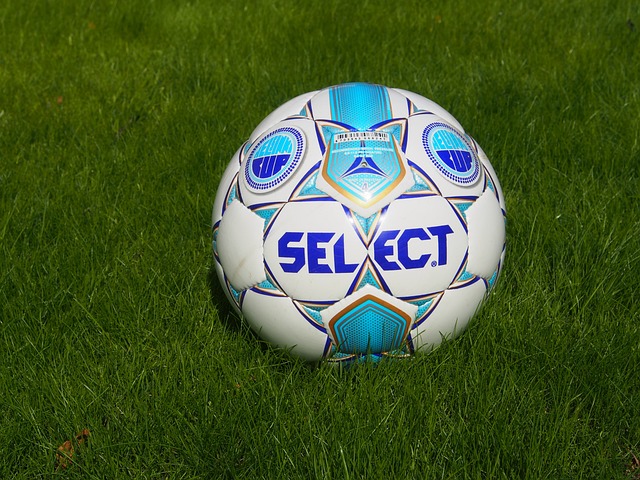 选择不会再 选择不会再