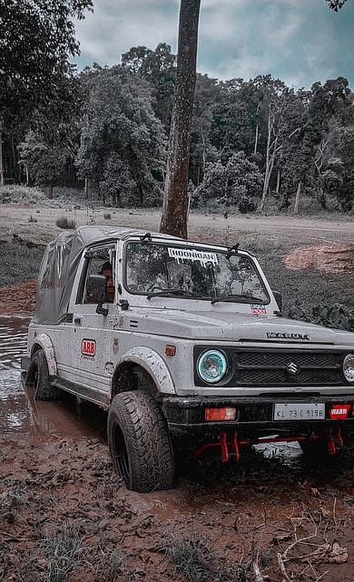 球队拥有出 球队拥有出