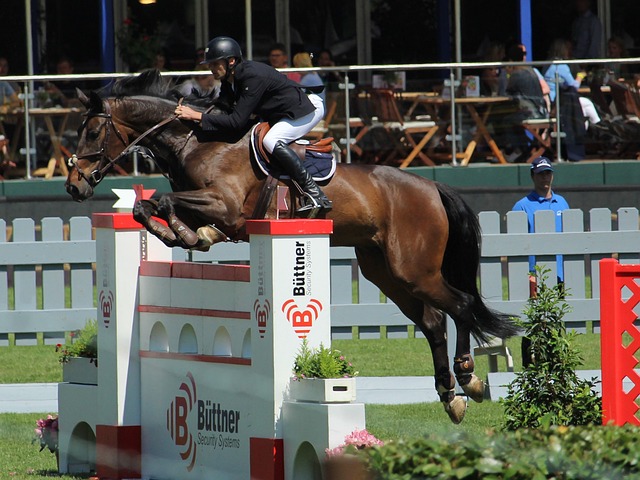 访也没说 访也没说