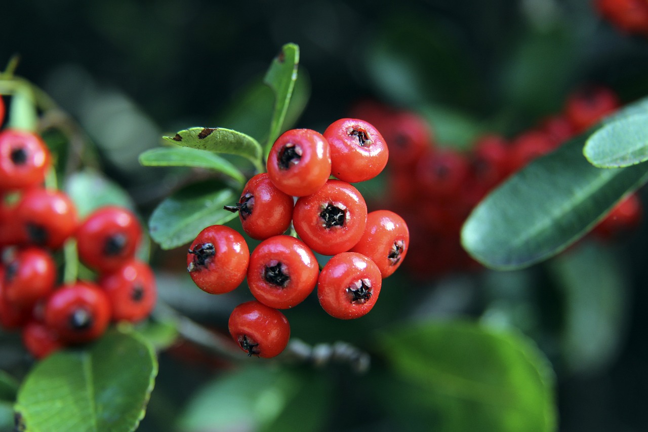 这些项目不 这些项目不