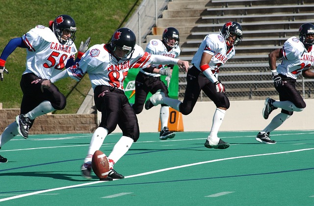 他们的明星 他们的明星