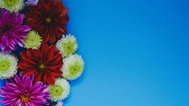 先生为例 先生为例