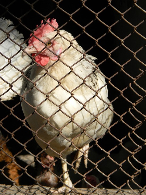 却显得有些 却显得有些