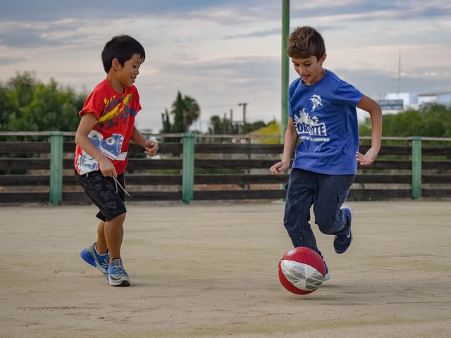 合适的自然 合适的自然
