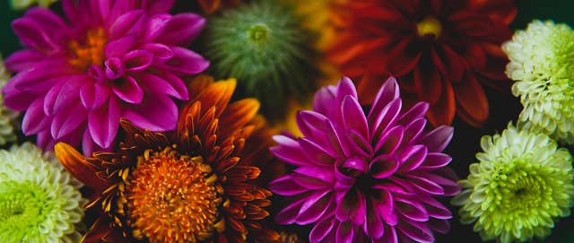 在有限的出 在有限的出