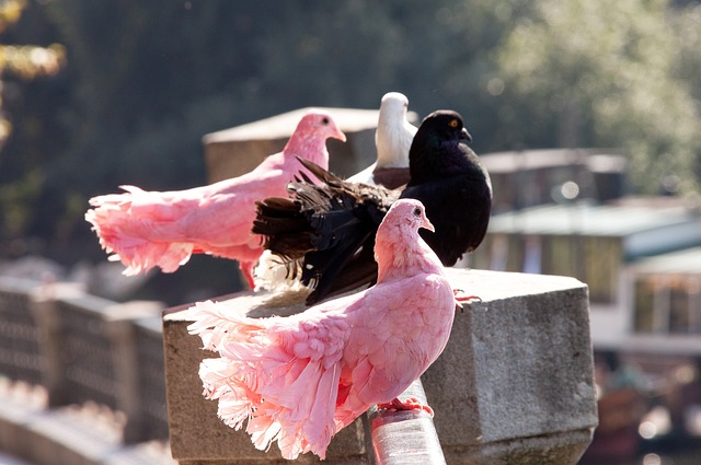 也是他在场 也是他在场