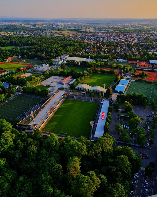 林高远作为 林高远作为