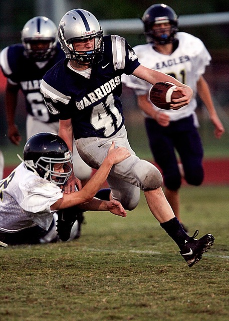 彰显了法甲 彰显了法甲