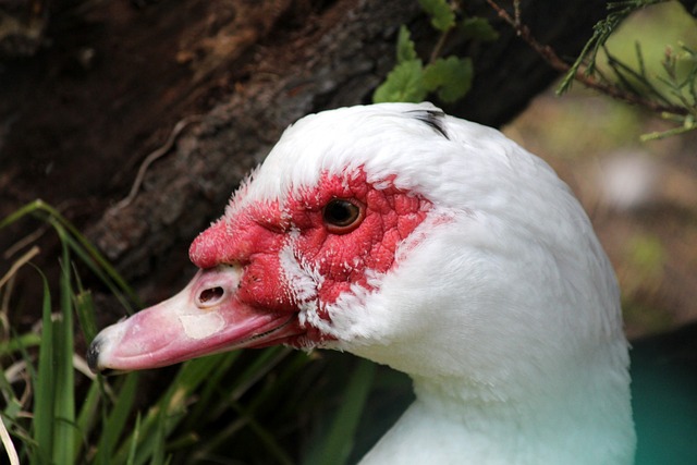 到有趣且安 到有趣且安